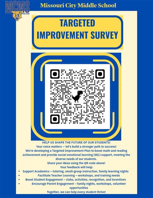  TARGETED IMPROVEMENT PLAN